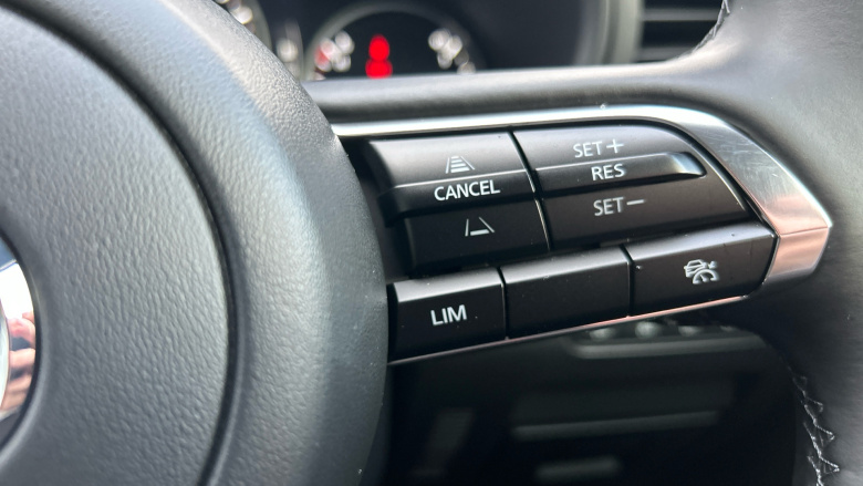 Mazda 3 2.5 e-Skyactiv G MHEV [140] Homura 5dr Petrol Hatchback